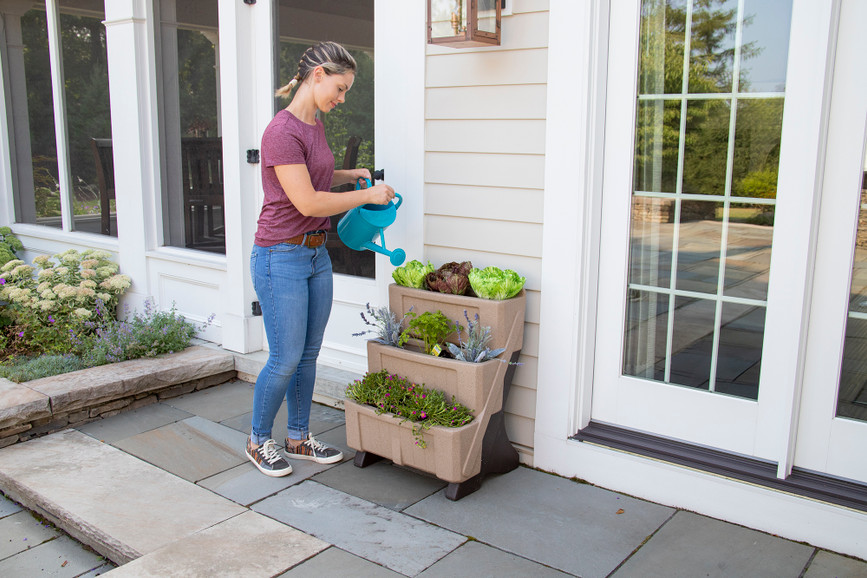5 Tips to Start Your Pollinator Garden