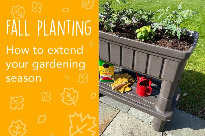 Fall Gardening Ideas