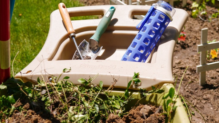 5 Tips to Get your Garden Ready for Fall