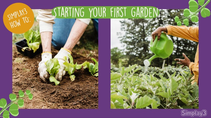How To: Starting Your First Garden